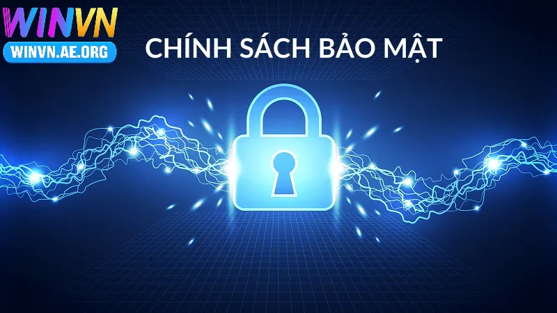 Tổng Quan Chính Sách Bảo Mật Winvn
